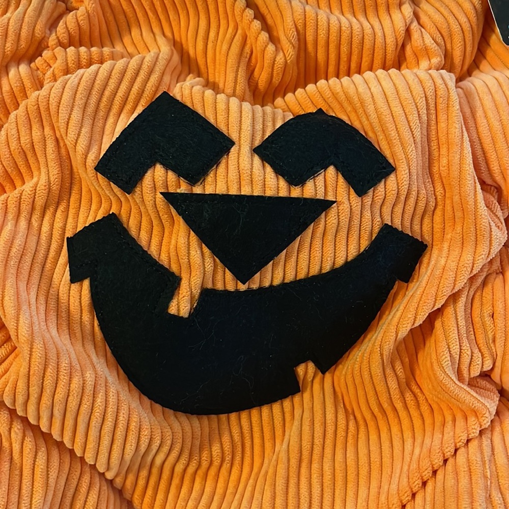 Pumpkin Patch Halloween Costume for dogs - Picture 3 of 9